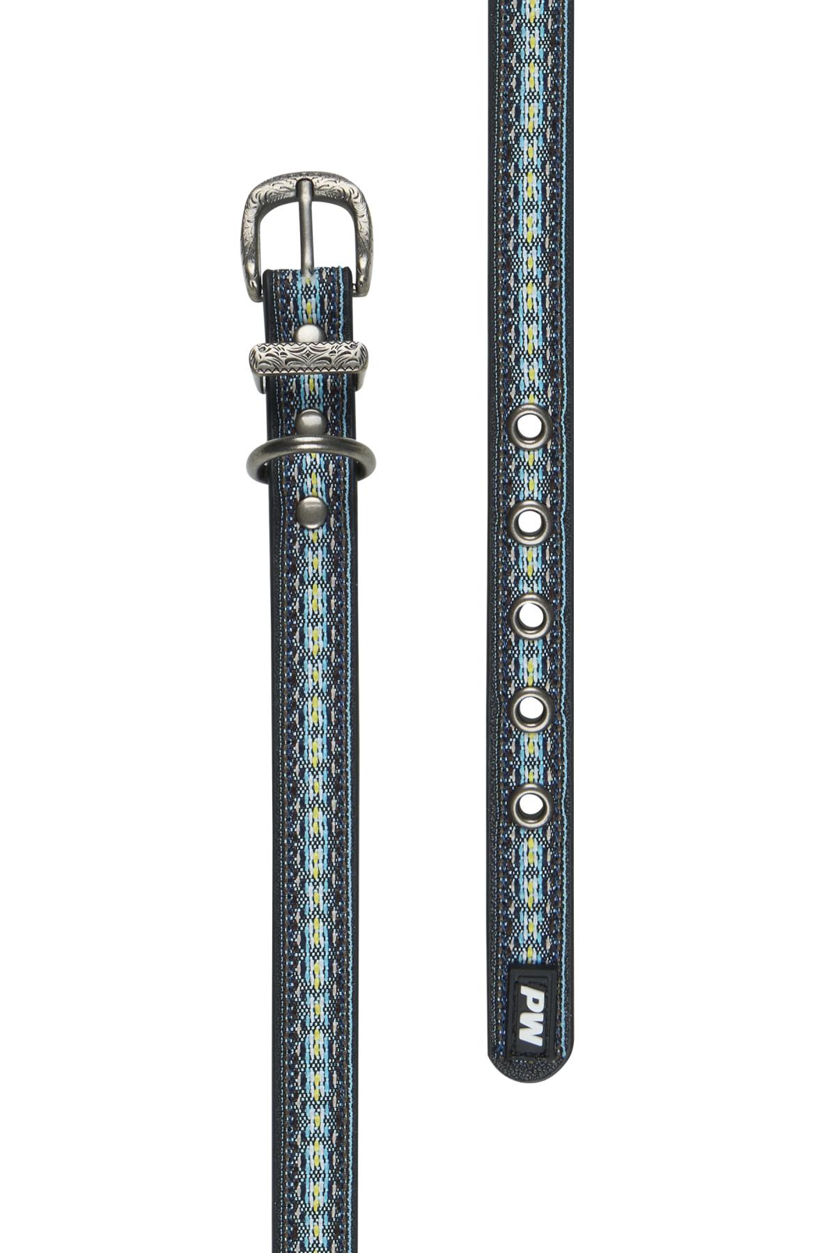 Cosmo Dog Collar